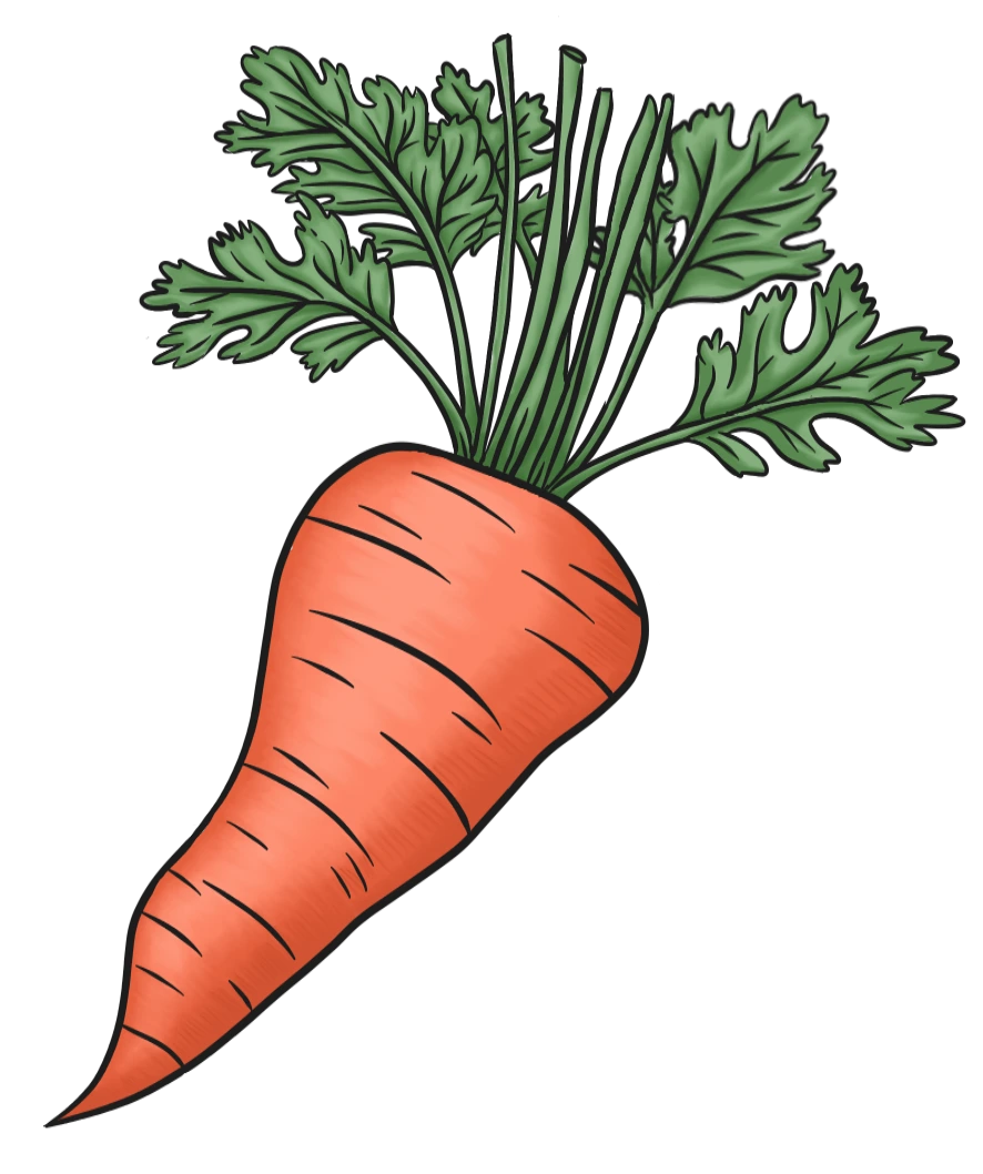 An image of a Carrot.